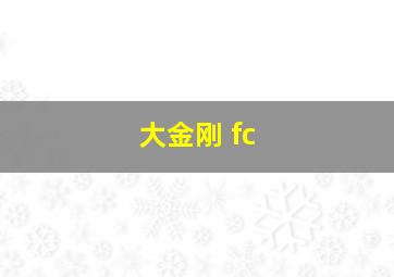 大金刚 fc